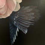 Yuki Aruga, Echo, 2021