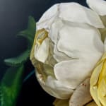 Reisha Perlmutter, In Solitude, 2024