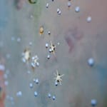 Chris Rivers, Hand-Finished Pisces, 2025