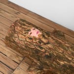 Bridget Mullen, A Thought is Dynamite, 2017-2025