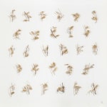 Yu-Wen Wu, Under the Same Moon: Artist book