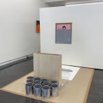 Oliver Jeffers, Dipped Photo Cluster Prototype, 2018