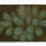 Lucy Kim, Place. (Green/Red), 2025