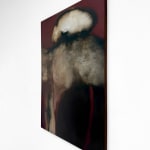 Anide, Anatomy of a Flying Stone