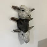 Pippa Young, The fool doth think he is wise, 2025