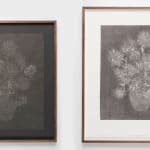 Alex Chitty, Mine (midnight), Mine (morning), 2025