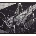 Halycon Quarterly Journal. Contribution by M.C. Escher