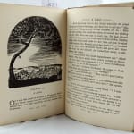 Spice and the Devil's Cave. Illustrated text spread