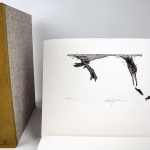 Atlantic Salmon, published by the Cheloniidae Press. Illustration with box
