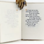 Shall I Die? Shall I Fly? Text spread
