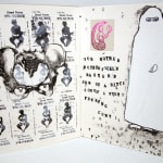 Venus Unbound. Illustrated spread