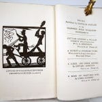 A Book on Vegetable Dyes by Ethel M. Mairet. Illustration and text spread
