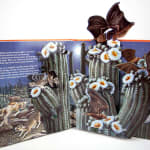 Creatures of the Desert World. Pop-up spread