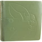 Dvacet Básní o Lásce a Jedna Písen ze Zoufalství (20 Love Poems and One Song of Despair) by Pablo Neruda, illustrated by Zdenek Chotenovský. Front cover board.