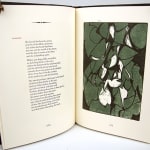 The Family Sequences by Michael S. Harper. Illustrated page
