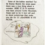 The Monster in the Turtle's Den by Mike Dorsa and Tom Warner. Interior page with illustration.