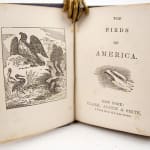 The Birds of America miniature book. Title-page spread