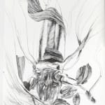 Ars Anatomica. A Medical Fantasia. Illustration