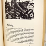 Where Land Meets Sea. The Tide Line of Cape Cod. Illustrated text page
