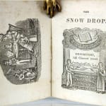 The Snow-Drop. Title page.