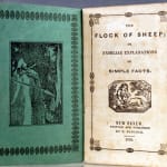 The Flock of Sheep; Or, Familiar Explanations of Simple Facts. Title page.