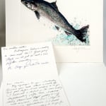 Atlantic Salmon, published by the Cheloniidae Press. Illustration with ALS