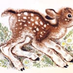 Tierkinder (Animal Babies) by Jewgenij Tscharuschin. Illustration of deer.