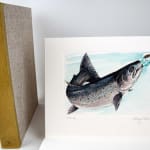 Atlantic Salmon, published by the Cheloniidae Press. Illustration with box
