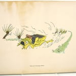 Das Automobil 217-UU by Edmond Cuénod, illustrated by Charles Emile Carlègle. Back cover.
