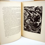 Where Land Meets Sea. The Tide Line of Cape Cod. Illustrated text spread