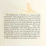 Moral Reflections on the Short Life of the Ephemeron by Thomas Boreman, illustrated by Lance Hidy. Interior page.