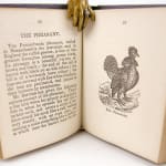 The Birds of America miniature book. Illustration and text spread