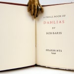 Dahlias. Title page