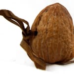 Drawings in a Nutshell. Book bound in a walnut shell