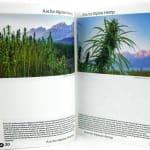 H is for HEMP. Illustrated text spread