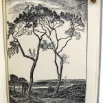 The Elf: a Sequence of the Seasons. Illustration