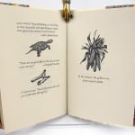 A Primer of Life along the Hammer Creek or, Some Friends and Enemies of the Turtle. Illustrated spread