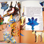 Andromedar SR1. Illustrated spread