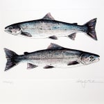 Atlantic Salmon, published by the Cheloniidae Press. Illustration