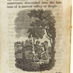 Master Henry's Walk; And the Story of Jenny Crawley. Interior page.