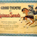 Grand Theatre des Animaux Savants by Lothar Meggendorfer. Front cover.
