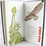 Birds of Manhattan. Illustrated text spread