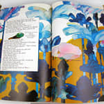Andromedar SR1. Illustrated spread