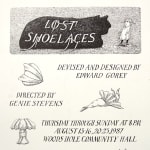 Lost Shoelaces poster