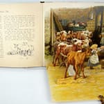 Happy Families and Their Tales. A Volume of Pictures & Stories of Domestic Pets. Pop-up illustration