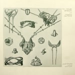 Neuer Schmuck by Maurice Dufrène, illustrated by A. Calavas. Interior page, jewelry design.