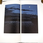 Waterfalls of the Mississippi by Richard Fred Arey. Illustrated spread