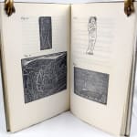 Wood Engraving. Illustrated spread