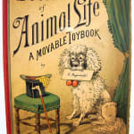 Scenes of Animal Life by Lothar Meggendorfer. Front cover