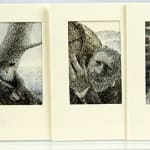 Rip Van Winkle. Binding and extra suite